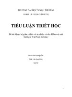 TIỂU LUẬN TRIẾT HỌC  Đề tài: Quan hệ giữa xã hội với tự nhiên và vấn đề bảo vệ môi trường ở Việt Nam hiện nay