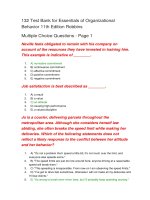 132 test bank for essentials of organizational behavior 11th edition robbins đề thi trắc nghiệm
