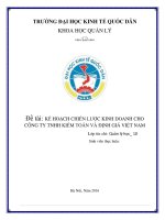 Kế hoạch chiến lược kinh doanh cho Công ty TNHH Kiểm toán và Định giá Việt Nam