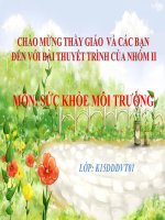 thuyet trinh o nhiem tieng on nhpms 2