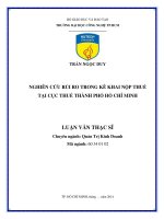 Nghiên cứu rủi ro trong kê khai nộp thuế tại cục thuế tại cục thuế thành phố Hồ Chí Minh