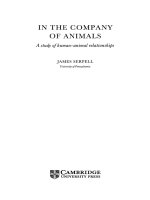 animals Sách luyện kỹ năng đọc tiếng anh
