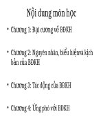 Bài 10   ứng phó với BĐKH trên thế giới