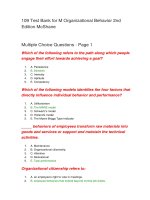 109 test bank for m organizational behavior 2nd edition mcshane đề thi trắc nghiệm