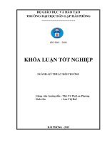 Nghiên cứu khả năng xử lý Cr6+ trong nước bằng vật liệu hấp phụ chế tạo từ vỏ sầu riêng