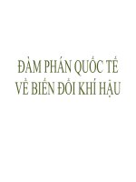 Bài giảng Đàm phán quốc tế về Biến đổi khí hậu