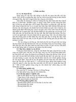 SKKN  Một vài kinh nghiệm về công tác chủ nhiệm lớp