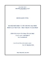 BẢO hộ NHÃN HIỆU và tên THƢƠNG mại THEO PHÁP LUẬT VIỆT NAM – THỰC TRẠNG và GIẢI PHÁP