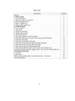 SKKN  Công tác chủ nhiệm trong mô hình VNEN