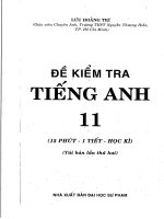 ĐỀ KIỂM TRA TIẾNG ANH LỚP 11