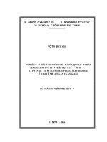 Nghiên cứu xác định thành phần loài, quy luật phát sinh, gây hại và biện pháp quản lý tổng hợp bọ phấn trắng hại lúa (Hemiptera Aleyrodidae) tại hai tỉnh Long An và An Giang