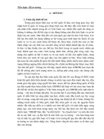 phòng chống có hiệu quả chiến lược diễn biến hòa bình bạo loạn lật đổ của các thế lực thù địch đối với nước t