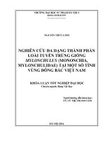 Nghiên cứu đa dạng thành phần loài tuyến trùng giống mylonchulus (mononchia, mylonchulidae) tại một số tỉnh vùng đông bắc việt nam 