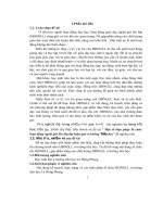 SKKN Một số biện pháp tổ chức HĐNGLL đạt hiệu quả ở trường tiểu học