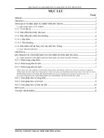 Chuyên đề Quy hoạch các giải pháp bảo vệ cảng biển, di tích, khu du lịch