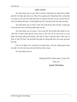 XÂY DỰNG MÔ HÌNH ĐỊA CHẤT CHO VỈA B10, MỎ SÓI ĐỎ, BỒN TRŨNG CỬU LONG