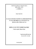 Đa dạng sinh học bộ Phù du (Ephemeroptera) ở á đai 1600-2600m tại Vườn quốc gia Hoàng Liên, tỉnh Lào Cai
