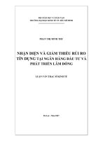 Nhận diện và giảm thiểu rủi ro tín dụng tại Ngân hàng đầu tư và Phát triển Lâm Đồng