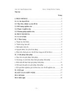 SKKN Một số kinh nghiệm trong công tác Đội giúp nâng cao hiệu quả hoạt động ở các trường có học sinh dân tộc thiểu số