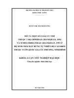 Mô tả một số loài ưu thế thuộc 2 họ oppiidae grandjean, 1954 và scheloribatidae grandjean, 1953 ở hệ sinh thái đất rừng tự nhiên độ cao 600m thuộc vườn quốc gia cúc phương, ninh bình 