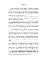 Đề tài nghiên cứu áp dụng sản xuất sạch hơn tại công ty chế biến và xuất khẩu thủy sản Thọ Quang