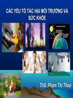 Yeu to tac hai moi truong va suc khoe
