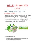 LÊN MEN sữa CHUA  BC