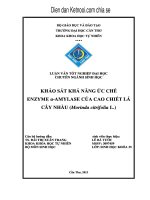 Khảo sát khả năng ức chế enzyme αamylase của cao chiết lá cây nhàu (morinda citrifolia l.)