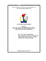 SKKN Một số kinh nghiệm bồi dưỡng phụ trách sao Nhi đồng