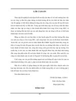 ÁP DỤNG BƠM ÉP KHÍ ĐỒNG HÀNH BẰNG PHƯƠNG PHÁP BƠM ÉP KHÍ NƯỚC LUÂN PHIÊN (WAG) CHO TẦNG CHỨA CÁT KẾT MIOCEN DƯỚI MỎ X BỒN TRŨNG CỬU LONG