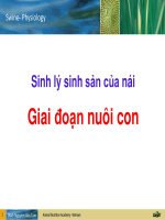 Lession pdf 4049 04 sinh ly sinh san tren heo nai giai doan nuoi con 1465179828