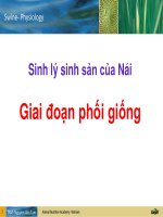 Lession pdf 4049 01 sinh ly sinh san tren heo nai giai doan phoi 1465179619