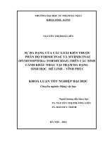 Sự đa dạng của các loài kiến thuộc phân họ formicinae và myrmicinae (hymenoptera formicidae) trên các sinh cảnh khác nhau tại trạm đa dạng sinh học mê linh – vĩnh phúc 