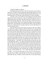 nguồn gốc hình thành các nội dung cơ bản trong tư tưởng ngoại giao của hồ chí Minh