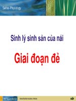 Lession pdf 4049 03 sinh ly sinh san tren heo nai giai doan de 1465179763