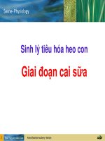 Lession pdf 4049 05 sinh ly tieu hoa heo con giai doan cai sua 1473211333