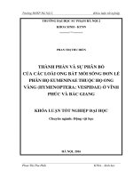 Thành phần và sự phân bố của các loài ong bắt mồi sống đơn lẻ phân họ eumeninae thuộc họ ong vàng (hymenoptera vespidae) ở vĩnh phúc và bắc gian 