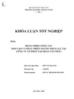 Hoàn thiện công tác đào tạo và phát triển nguồn nhân lực tại công ty cổ phần tập đoàn tân phát