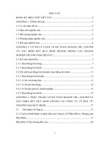 Báo cáo kế tóan doanh thu chi phí và xác định kết quả kinh doanh tại CT CP đầu tư TM Đức Miinh