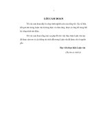 Tổ chức hệ thống kế toán trách nhiệm trong doanh nghiệp thương mại ở Việt Nam