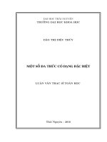 Một số đa thức có dạng đặc biệt (LV thạc sĩ)