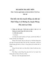 Văn hóa nghệ thuật các dân tộc thiểu số Việt Nam hiện đại: Tìm hiểu văn hóa truyền thống của dân tộc thái trắng ở xã mường so, huyện phong thổ, tỉnh lai châu