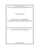 Hiệu quả sản xuất kinh doanh tại Công ty Cổ phần Gang thép Thái Nguyên (LV thạc sĩ)