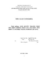 Bài tiểu luận chuyên viên giải pháp tranh chấp tên miền