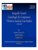 Integrally geared air compressors 02 2008 