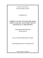 Nghiên cứu khả năng hấp phụ Mn(II), Ni(II) của quặng apatit biến tính và thăm dò xử lý môi trường