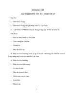 MAKETTING văn hóa NGHỆ THUẬT NHÀ hát múa rối TRUNG ƯƠNG