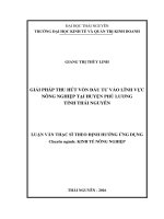Giải pháp thu hút vốn đầu tư vào lĩnh vực nông nghiệp tại huyện Phú Lương tỉnh Thái Nguyên (LV thạc sĩ)