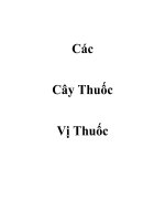 Các cây thuốc và vị thuốc Đông y