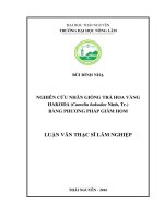 Nghiên cứu nhân giống Trà hoa vàng Hakoda (Camelia hakodae Ninh, Tr.) bằng phương pháp giâm hom (LV thạc sĩ)